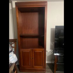 Bookshelves and Bookcases with Doors 