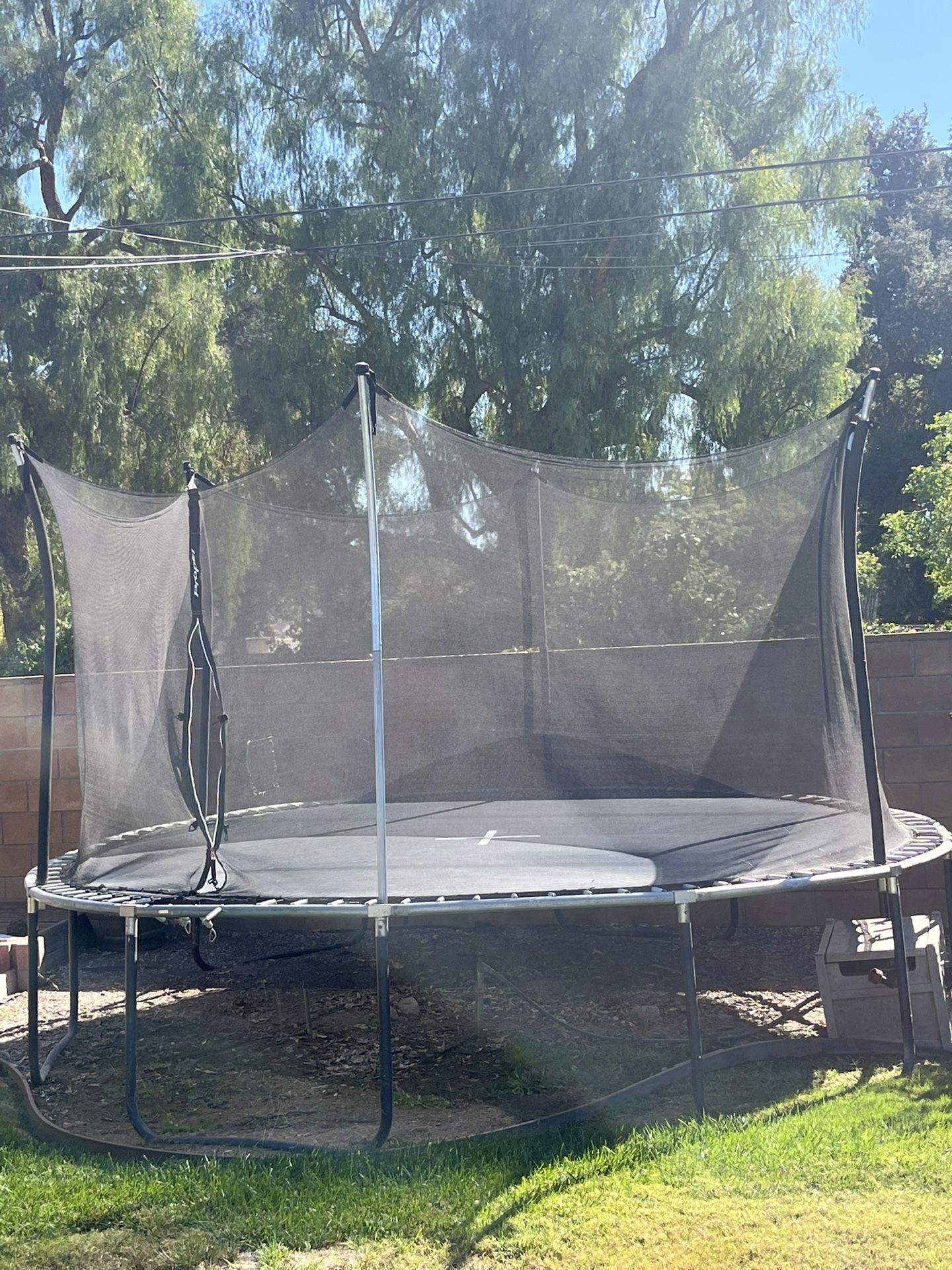 Trampoline 