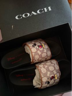 Coach x Disney Slides