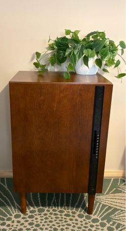 Record cabinet