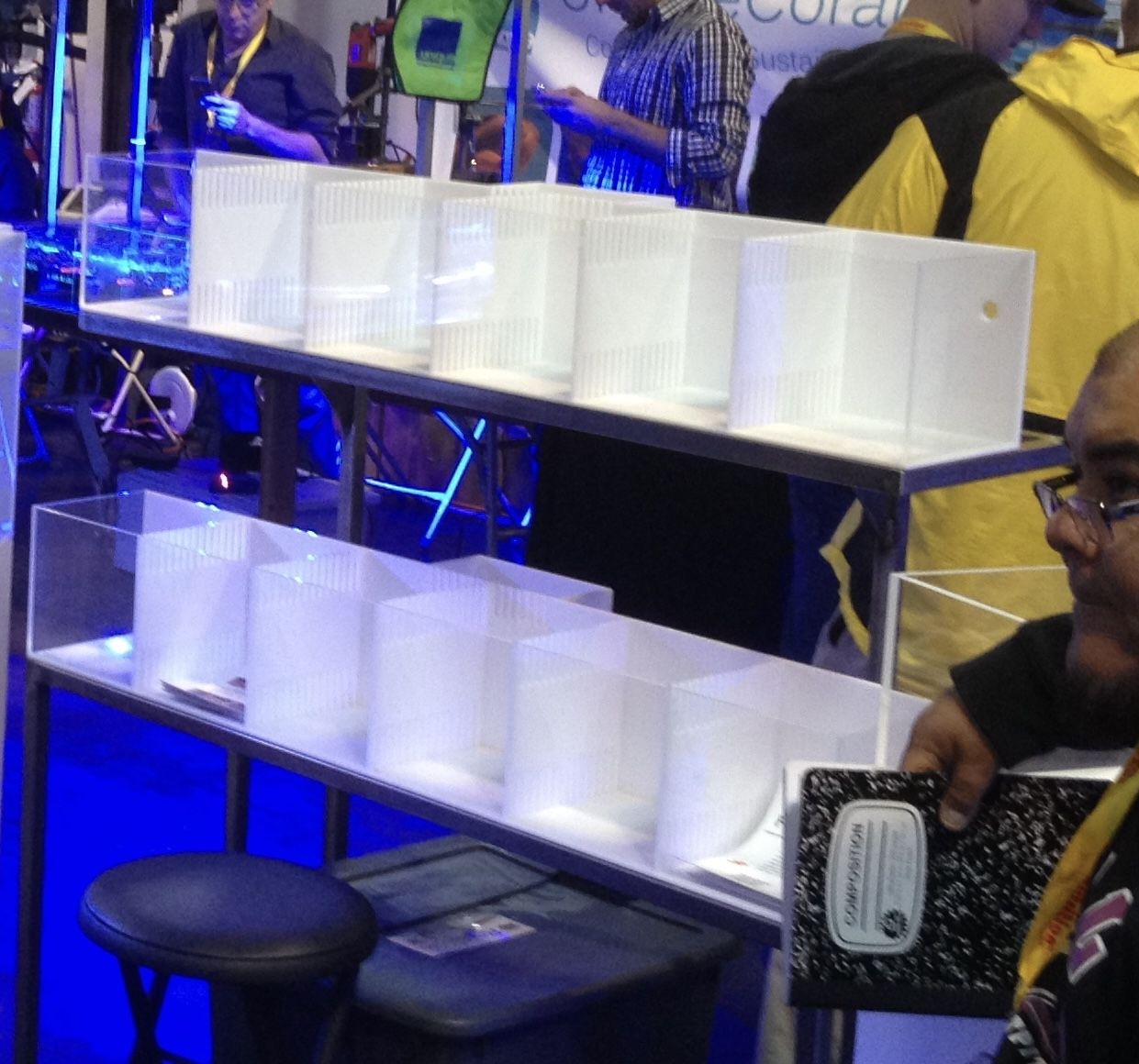 Clown Fish Breeding / Pairing Tanks / Acclimation Tanks