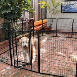 Dog Pen Extra Large by Best Pet 
