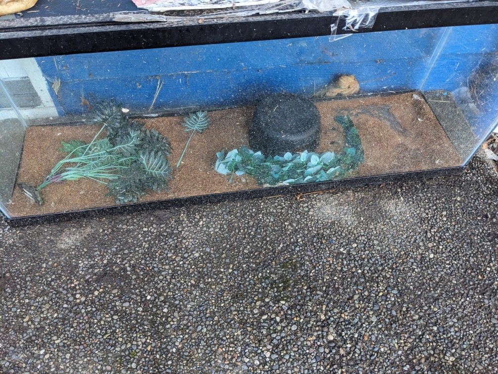 Reptile Tank And Water Dish 