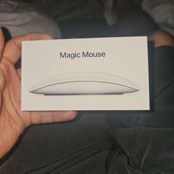 Magic Mouse Multi Touch surface 