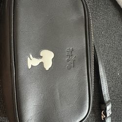 Coach snoopy Handbag