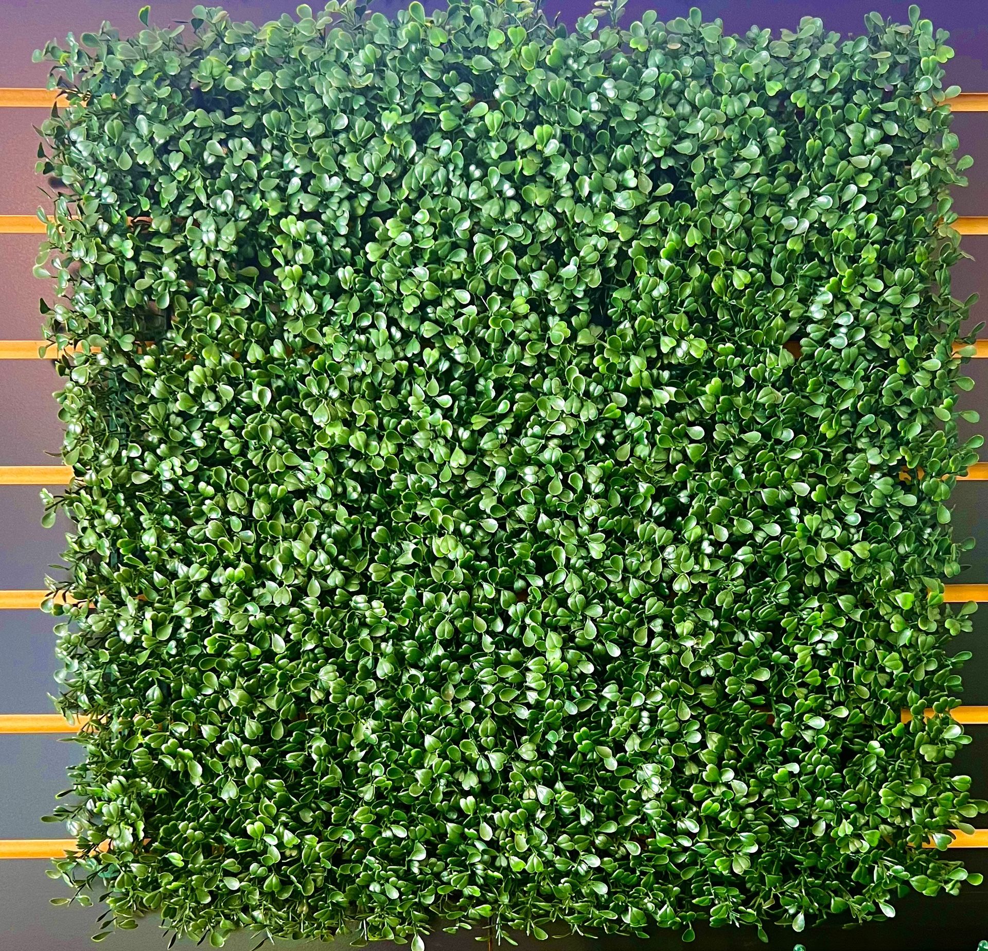 *SALE* Artificial Wall Ivy