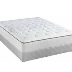 $199 special (quilted orthopedic sale)