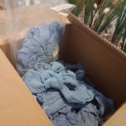 Cloth Napkins 