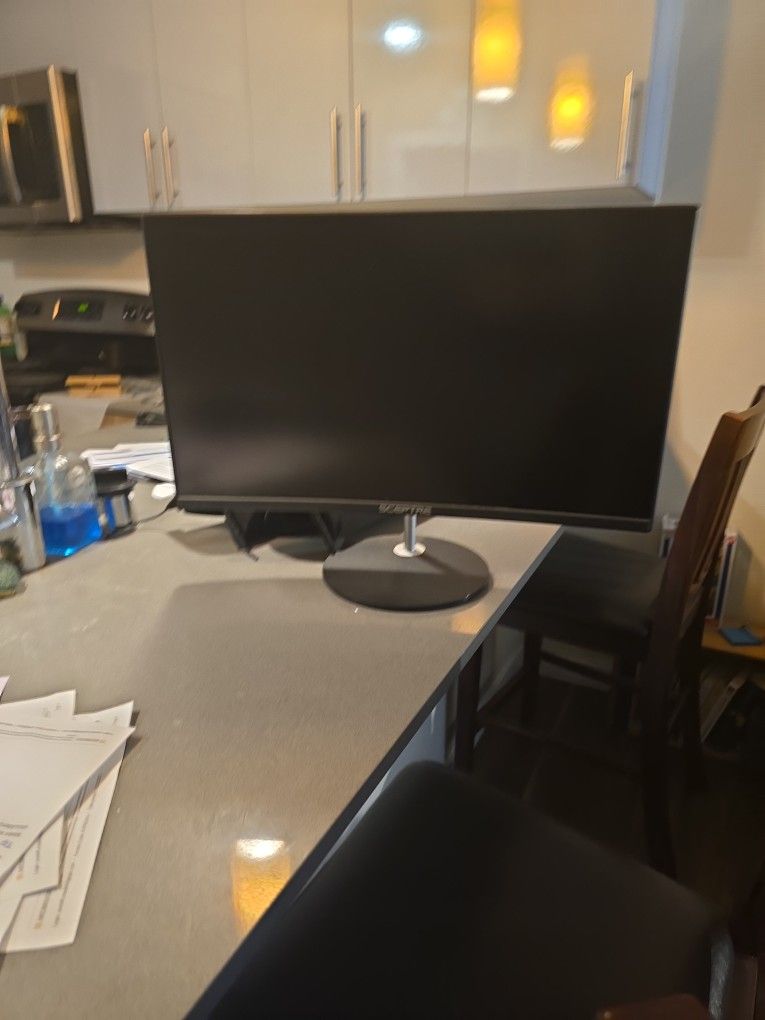 24 in Curved Monitor