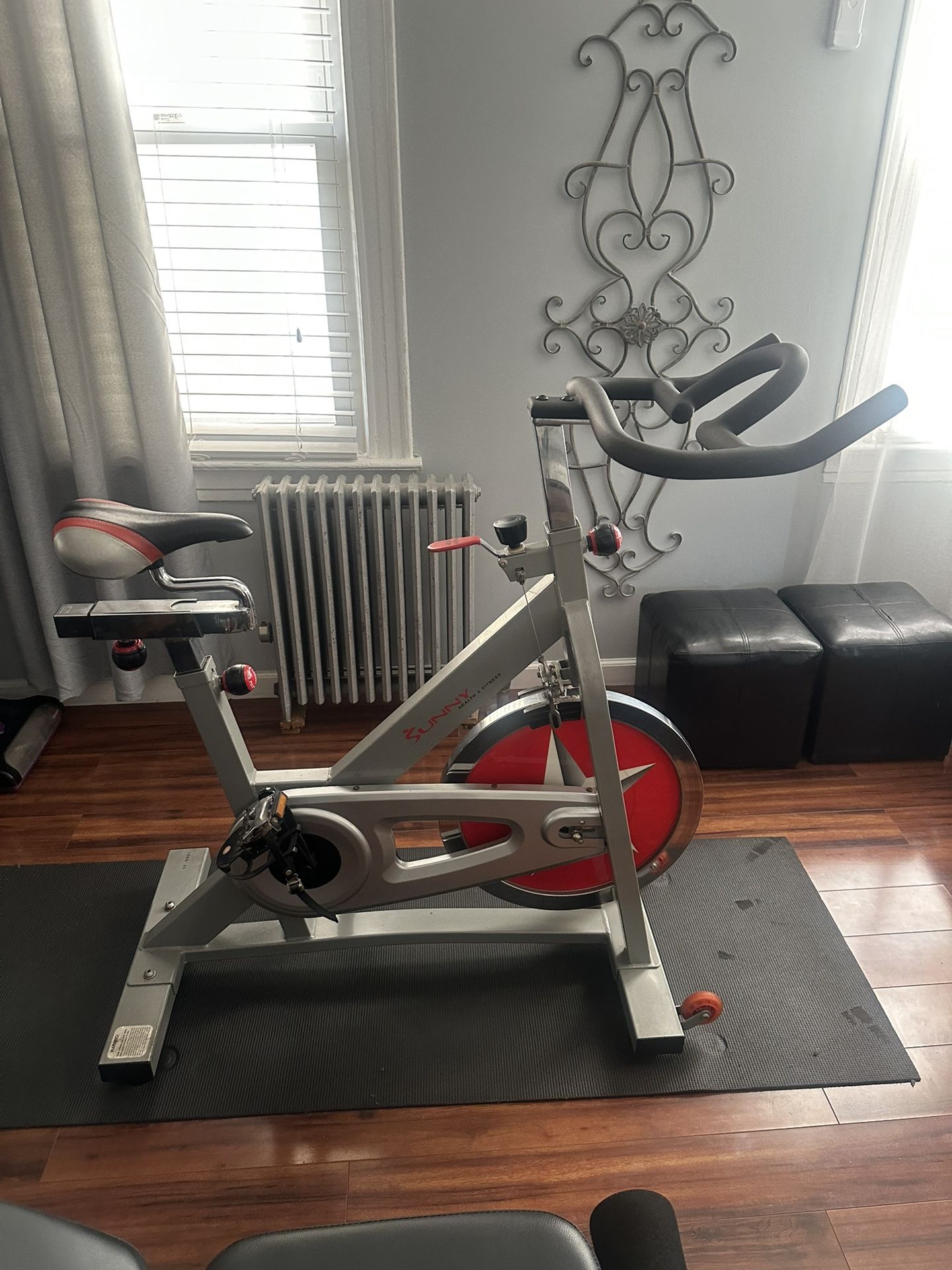 Sunny Exercise Bike