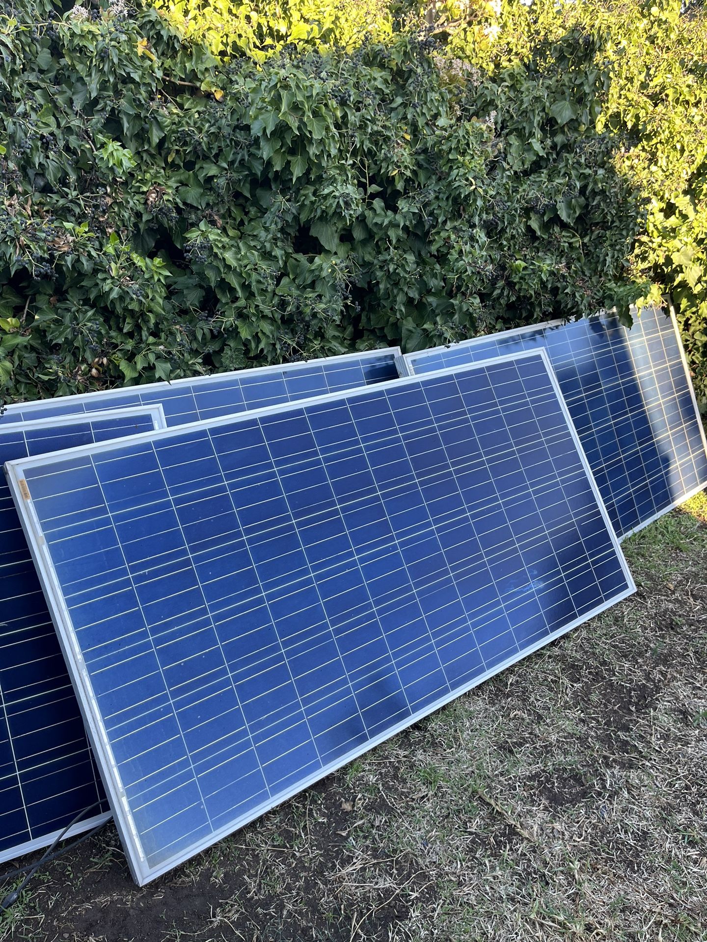 Solar Panels For Sale