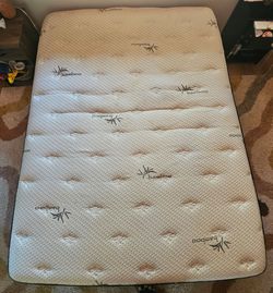Free Queen size matress
