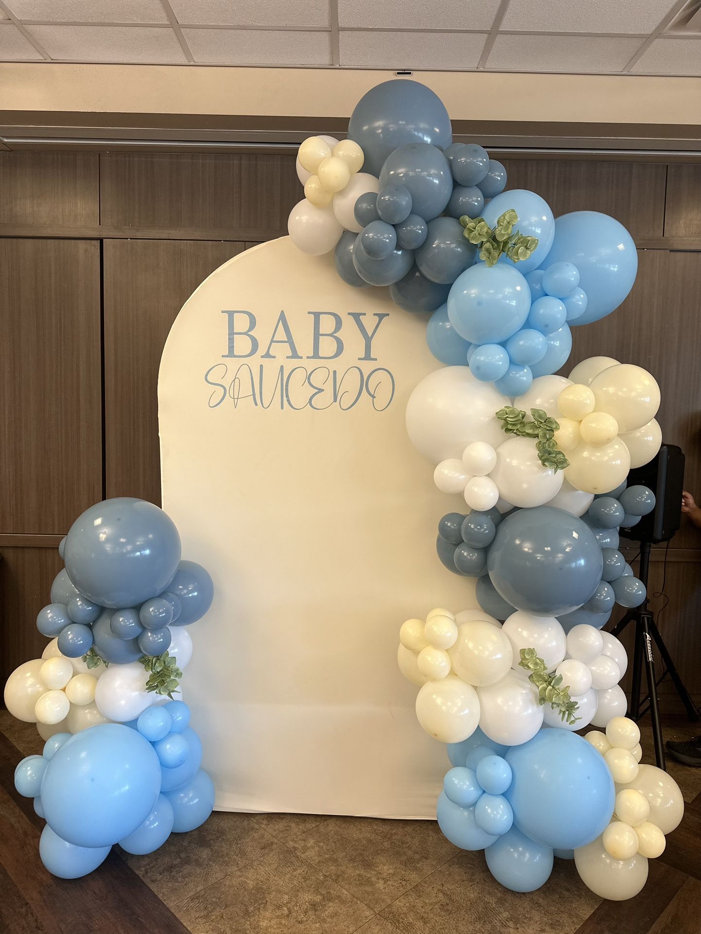 Balloon Arch Decoration
