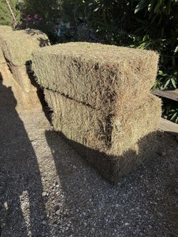 Hay / feed for sale qty 40