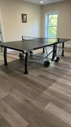 Outdoor Table Tennis Table.