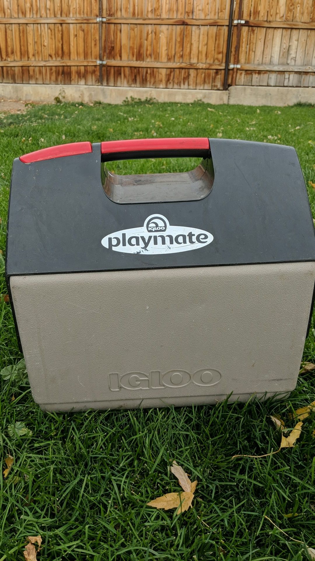 Igloo Playmate Cooler