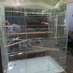 Birds Cage