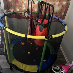 Indoor/Outdoor Trampoline