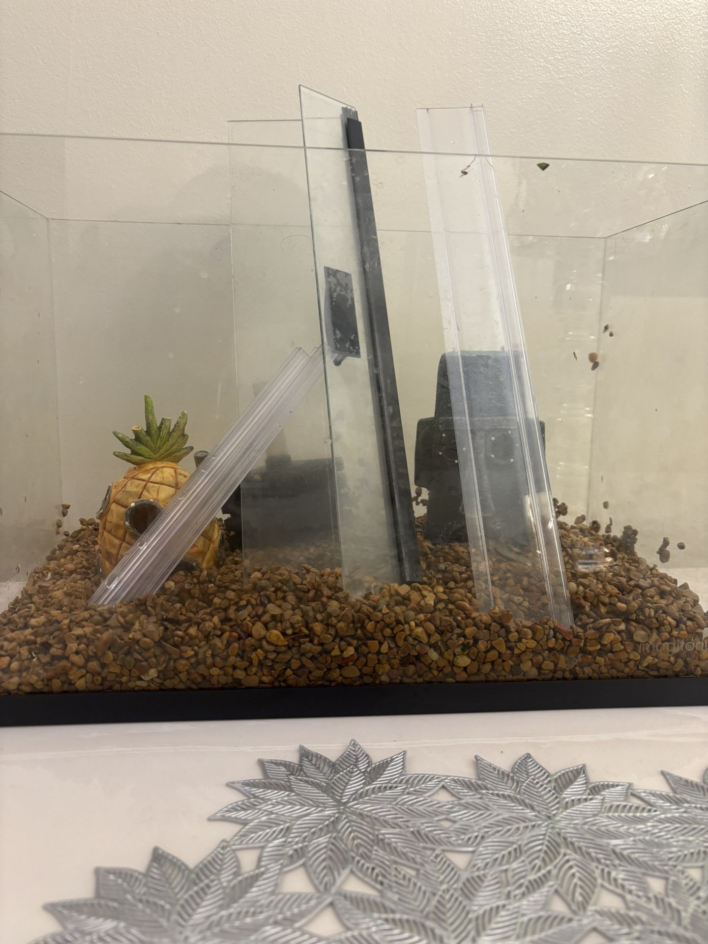 Aqueon Rimless 5 Gallon Tank