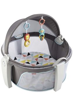 Fisher price baby dome