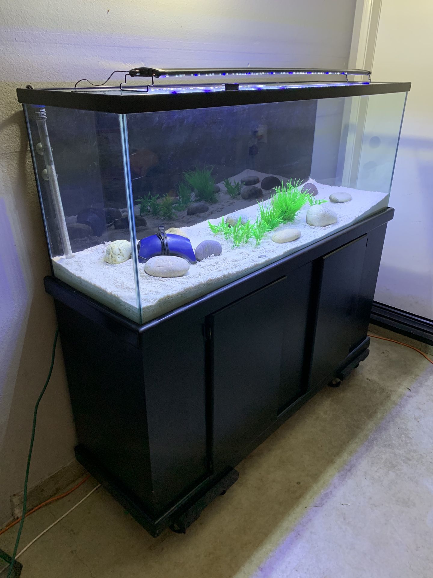 100 gallon fish tank, stand, led light, fx6 filter & more