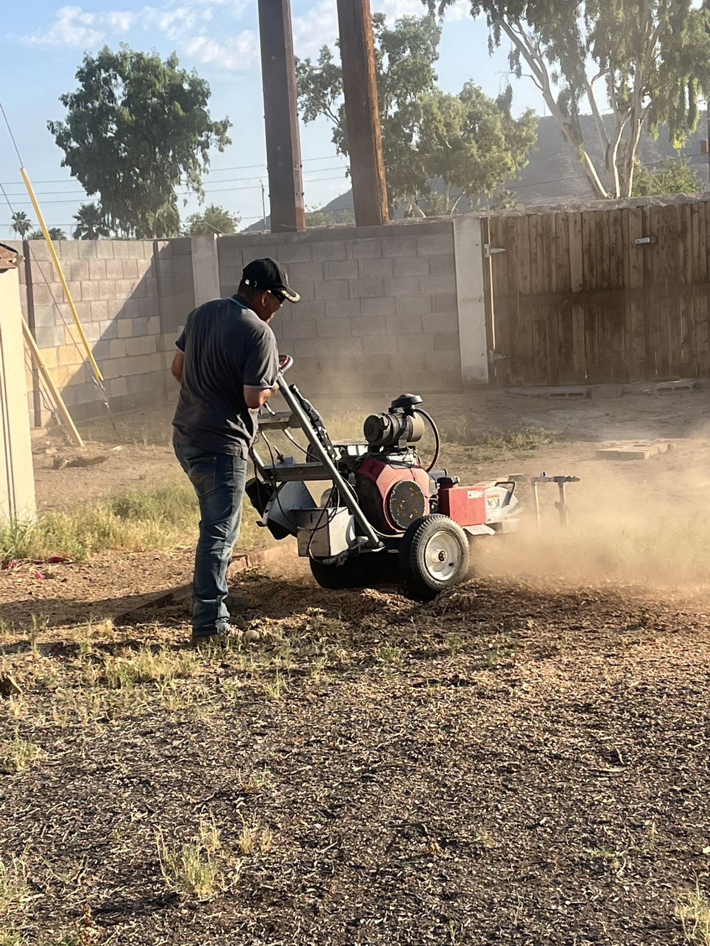 Stump Removal