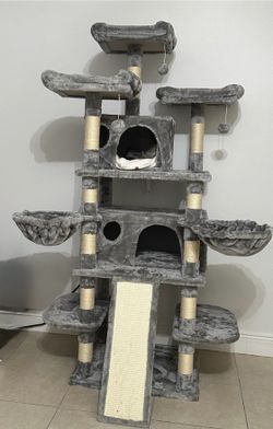 Gym Gato
