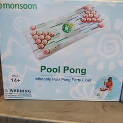 POOL PONG