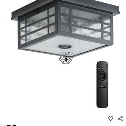 Motion Sensor Outdoor Ceiling Light with Remote Control ($50)