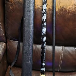 Pool Stick and Case