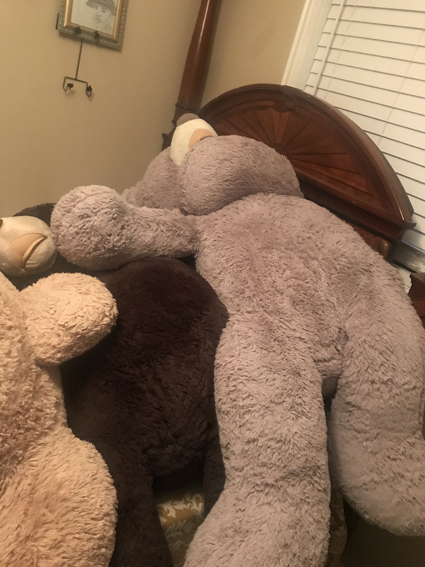 Giant teddy bears