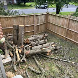 Wood 
