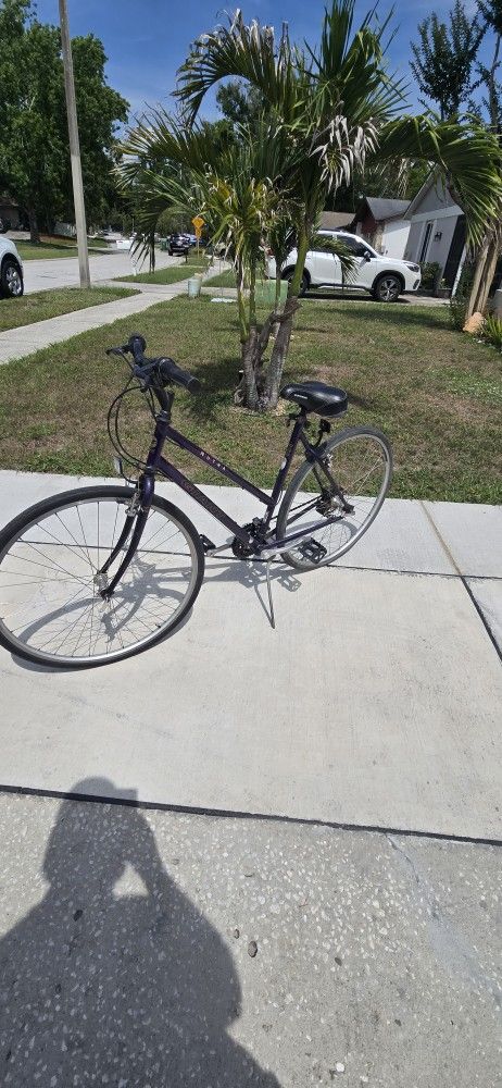Giant bike