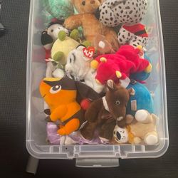 Stuffed Animals 