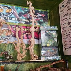 Reptiles supplies N Long Beach 