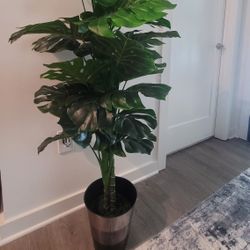 47" Tall Lifelike Monstera Plant