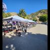 Scooters5623604233galore