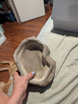 Reptile pool / water bowl