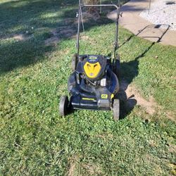 Brute. Briggs Stratton .22 Inch