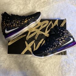 LeBron Lakers 17