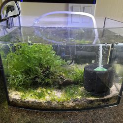 Aquarium Rimless Tank 5 Gallon