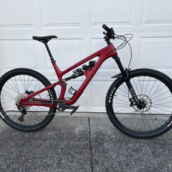 2023 Salsa Blackthorn Carbon XL Mountain Bike