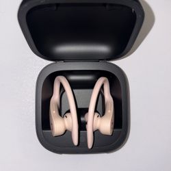 Beats Powerbeats Pro Wireless Earbuds – Pink – w/ Case 