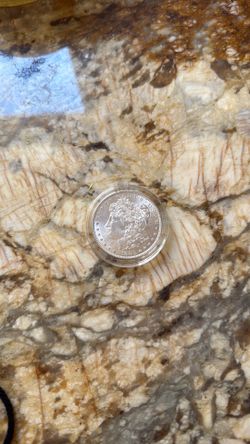 Silver one dollar coin