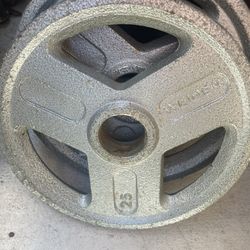 25 Lb Plate Weights 