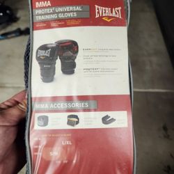MMA/Boxing Gloves