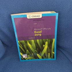 Microsoft Excel 2019 Book