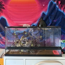 40 Gallon Tank - Front opening 