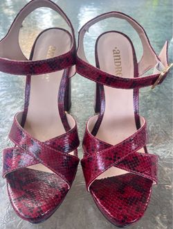 Zapatos de tacon