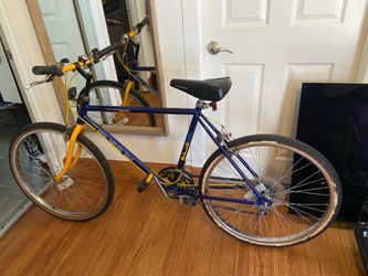 Murray bmx bike